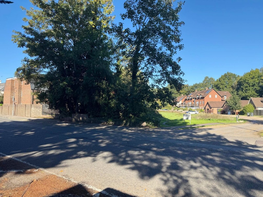 Lot: 53 - FREEHOLD LAND WITH POTENTIAL - View of the land from across the road